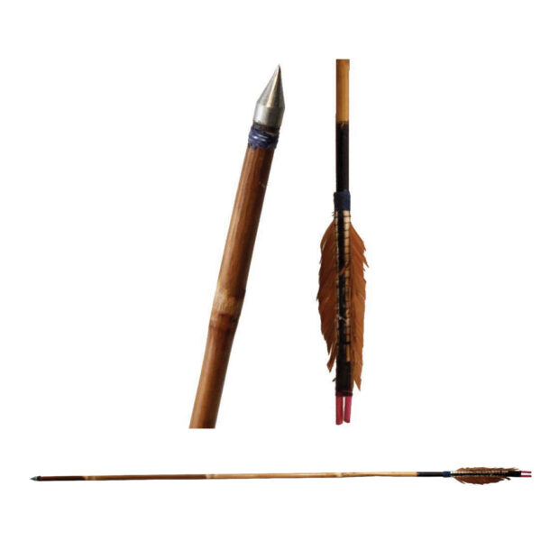 Shifter Cane archery Arrow