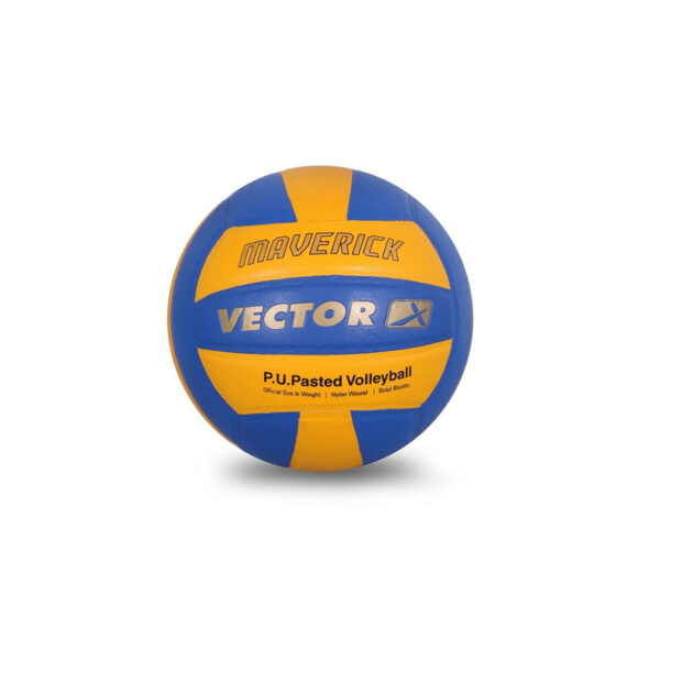 Vector X Volleyball