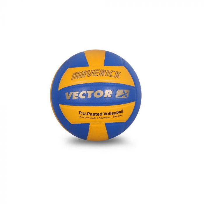 Vector X Volleyball