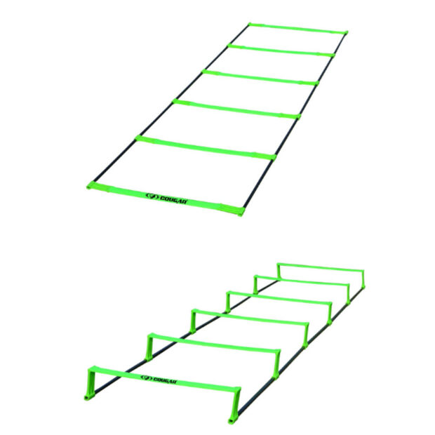 Pinnacle Ladder