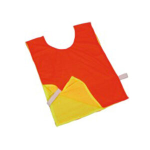Fluro Reversible Bibs