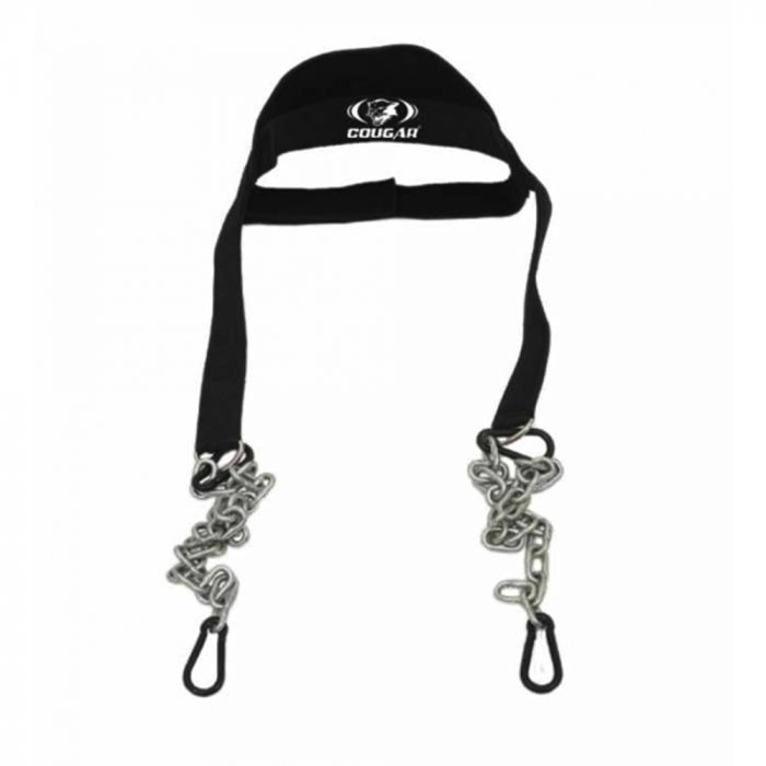 Head Harness