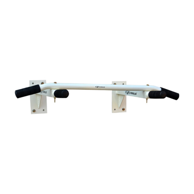 Wall Mounted Multi Exerciser