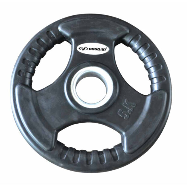 weight lifting plates