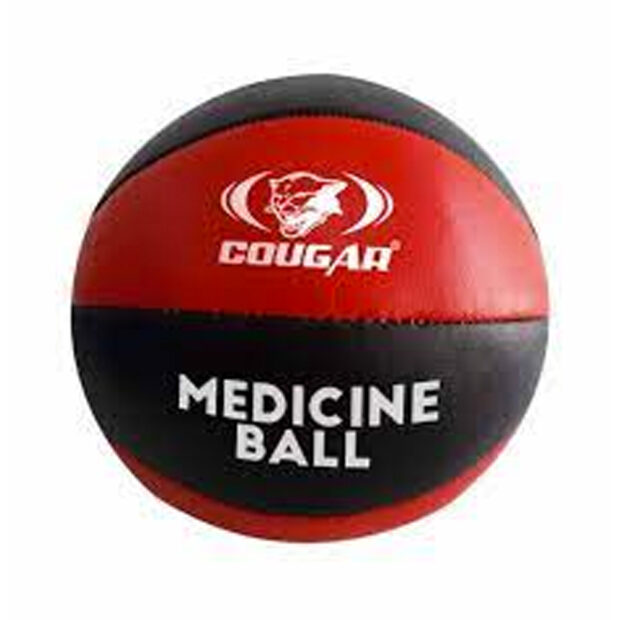 leather medicine ball