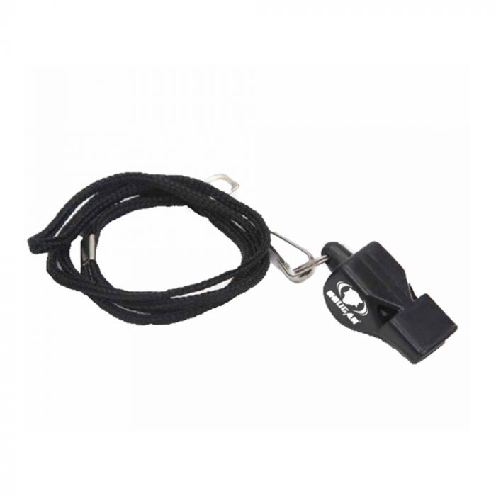 whistle with lanyard