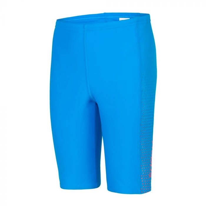 Speedo Boys Gala Logo Panel Jammer
